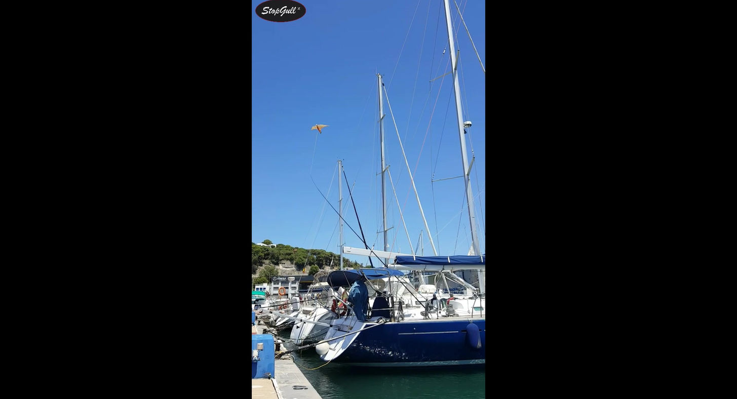 StopGull Falcon at Sailboat